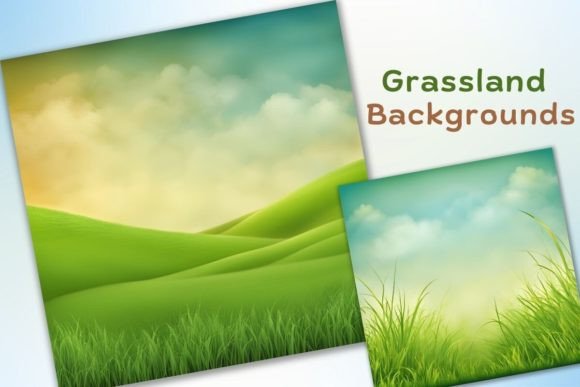 Beautiful Grassland Backgrounds: A Designer's Guide to Serenity